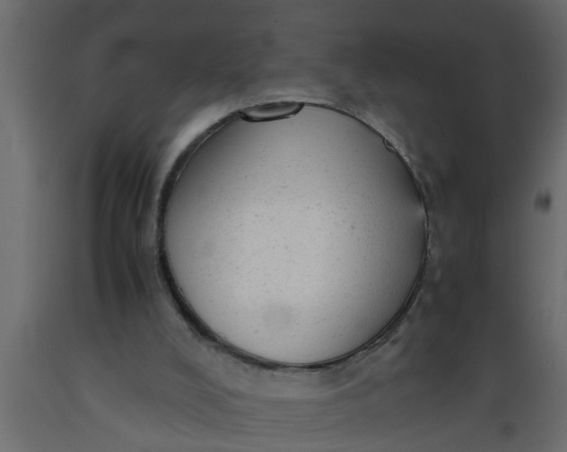 X0000089450008200707061252