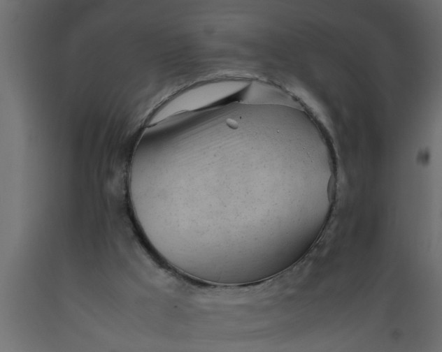 X0000089450009200707061251