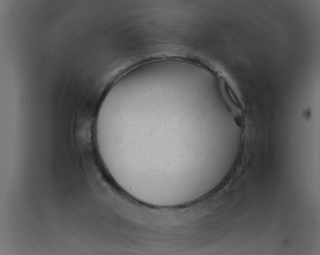 X0000089450010200707061251