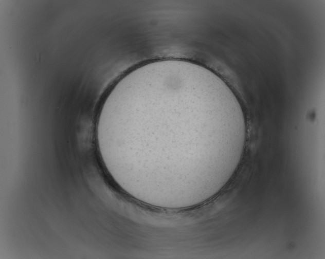 X0000089450012200707061251