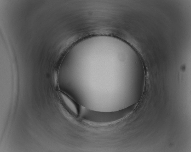 X0000089450013200707061251