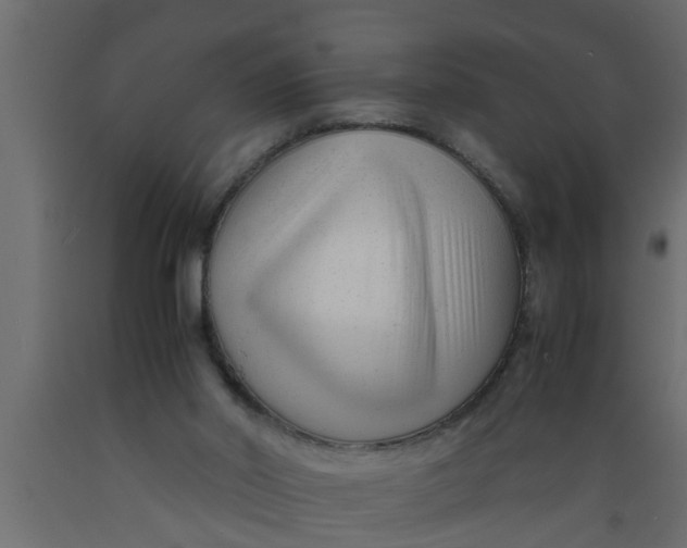 X0000089450014200707061251