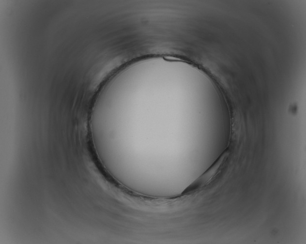 X0000089450015200707061251