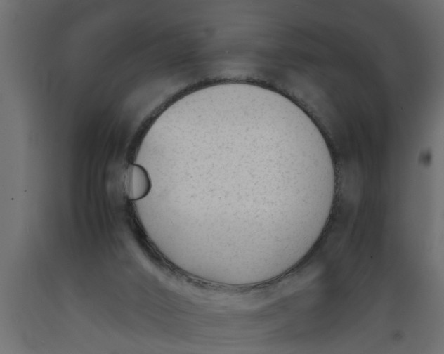 X0000089450016200707061251