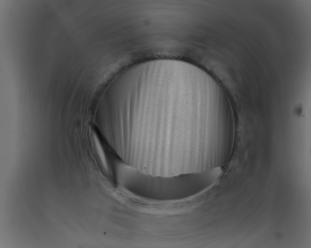 X0000089450017200707061251