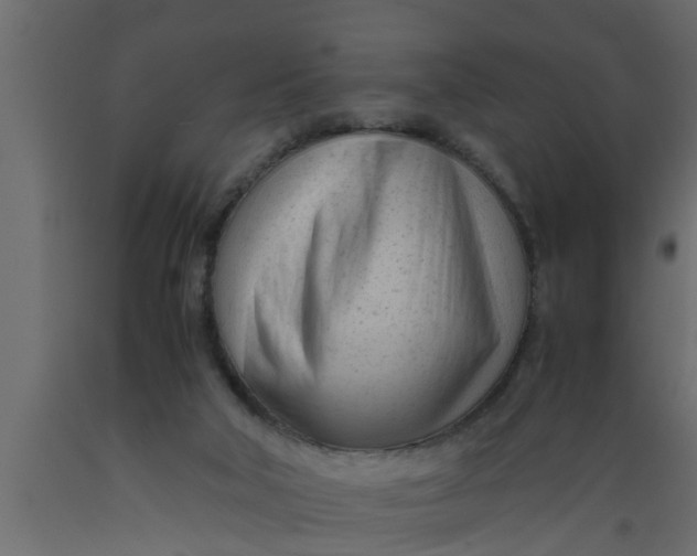 X0000089450018200707061251