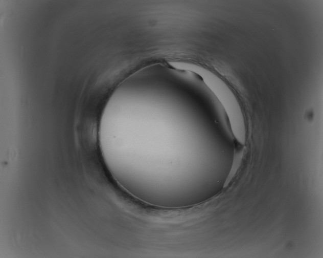 X0000089450021200707061251