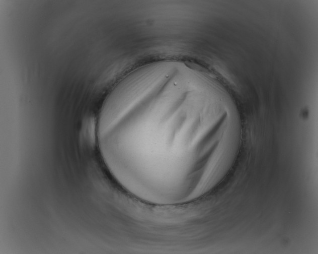 X0000089450022200707061251