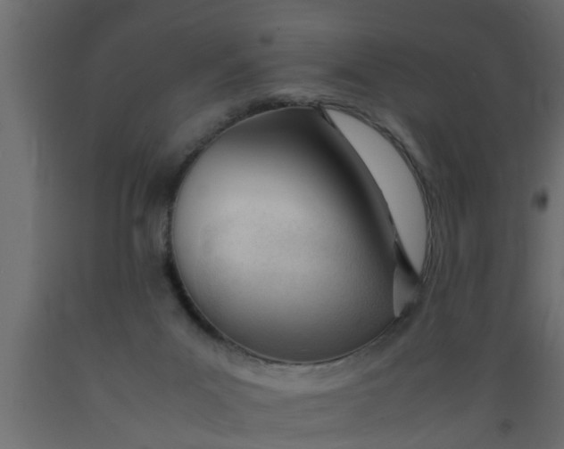 X0000089450023200707061251