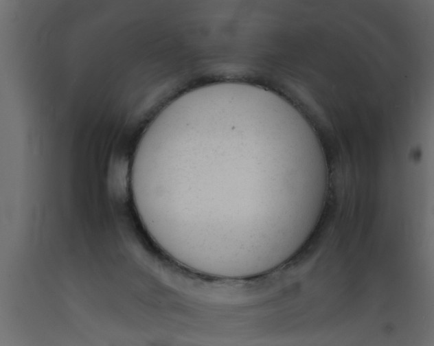 X0000089450024200707061251