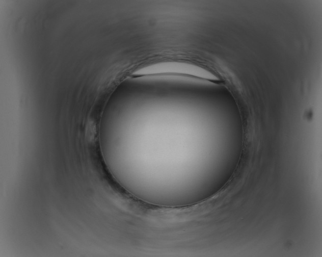 X0000089450025200707061251