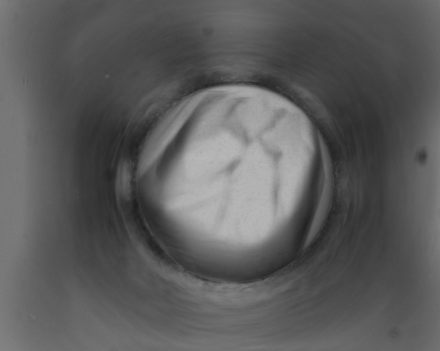 X0000089450026200707061251