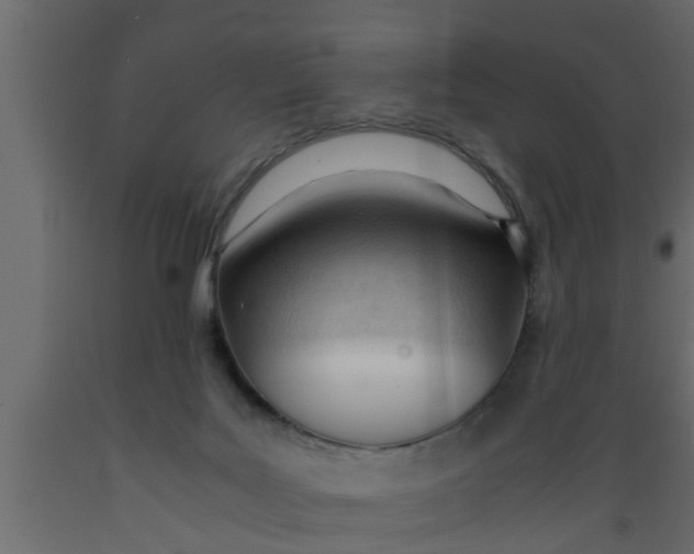 X0000089450027200707061251