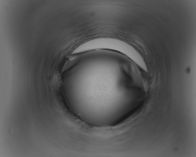 X0000089450029200707061251