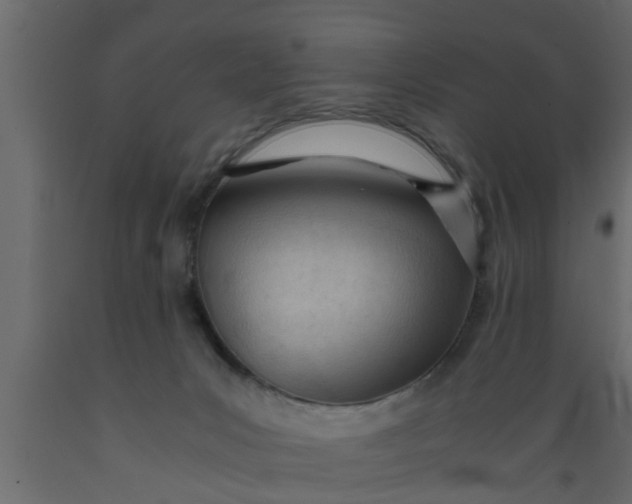 X0000089450031200707061251