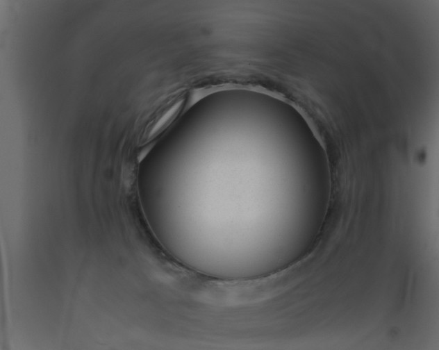 X0000089450033200707061251