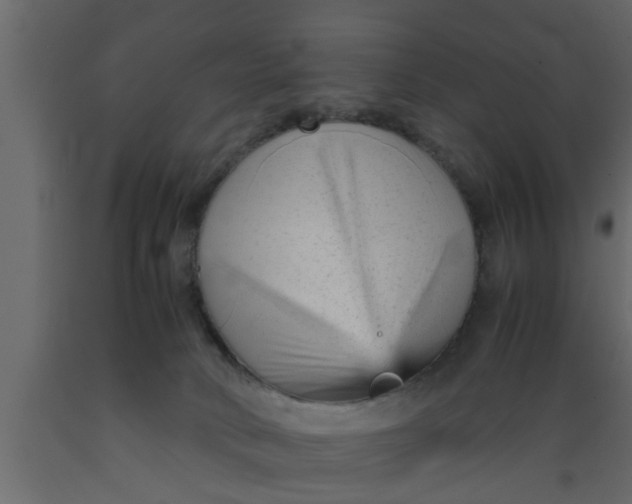 X0000089450034200707061251