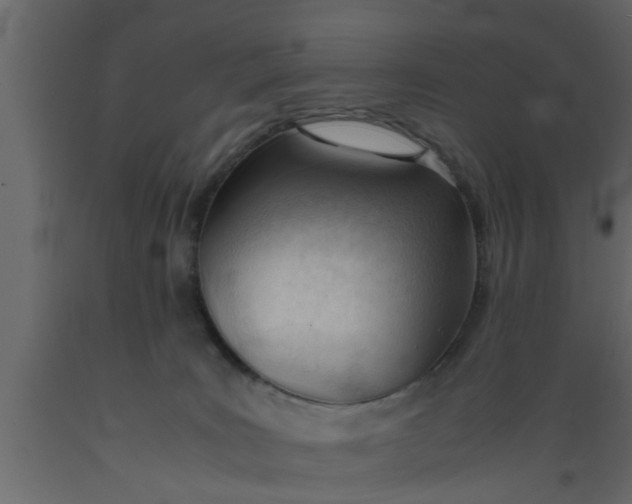 X0000089450035200707061251