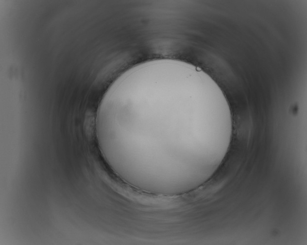 X0000089450036200707061251