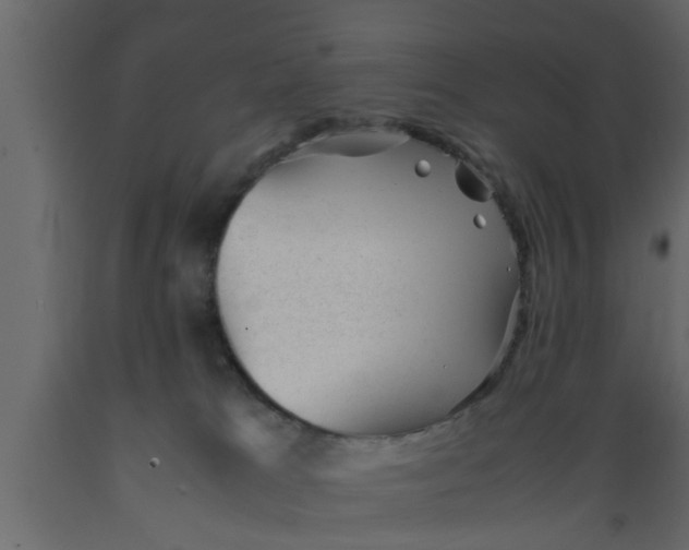 X0000089450037200707061251