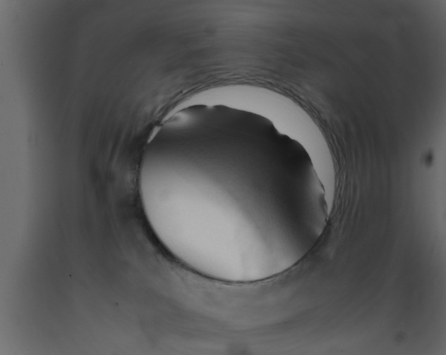 X0000089450039200707061251