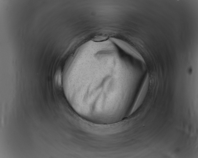 X0000089450046200707061251