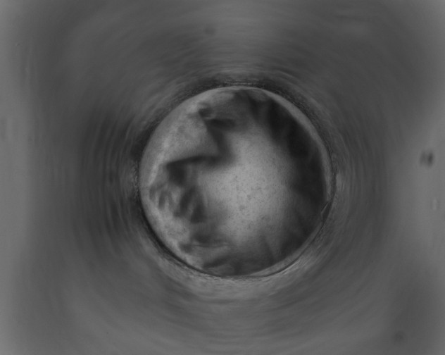 X0000089450048200707061251