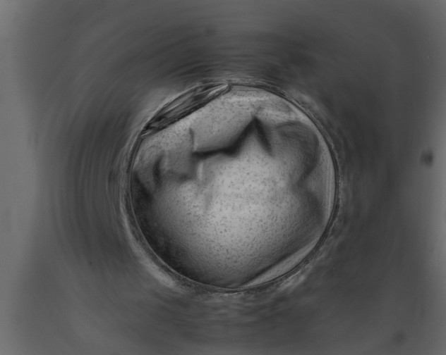 X0000089450049200707061250