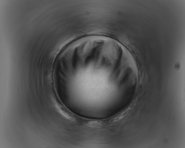 X0000089450050200707061250