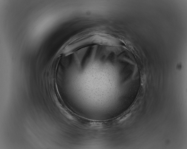 X0000089450052200707061250