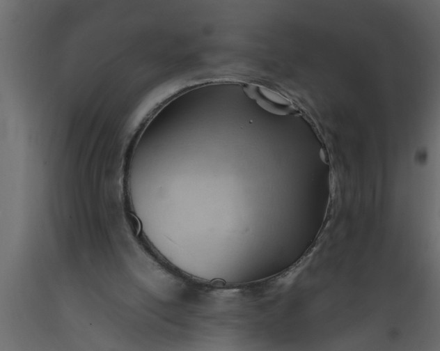 X0000089450054200707061250