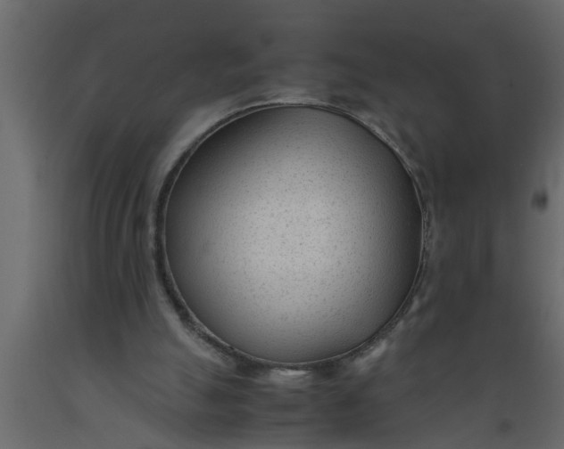 X0000089450055200707061250