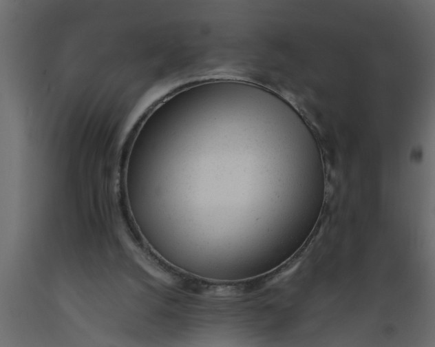 X0000089450056200707061250