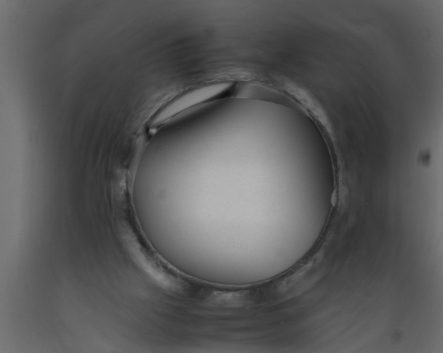 X0000089450057200707061250