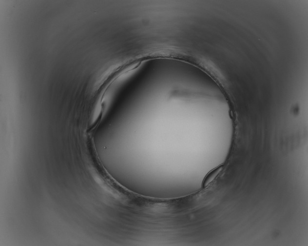 X0000089450058200707061250