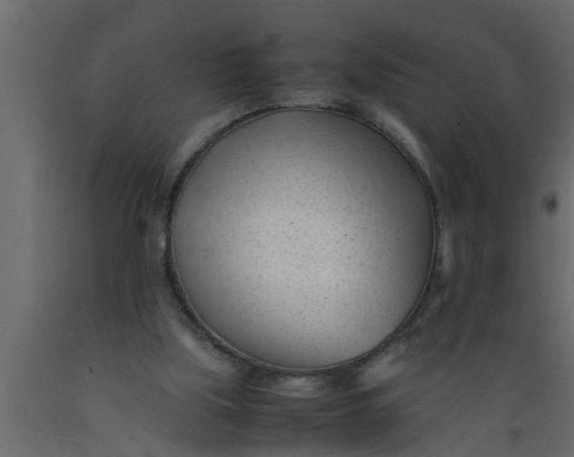 X0000089450059200707061250