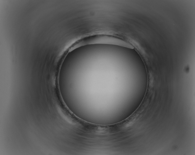 X0000089450060200707061250