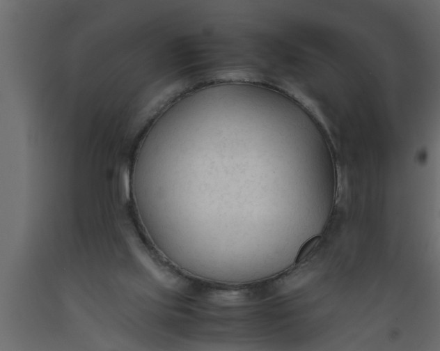 X0000089450061200707061250