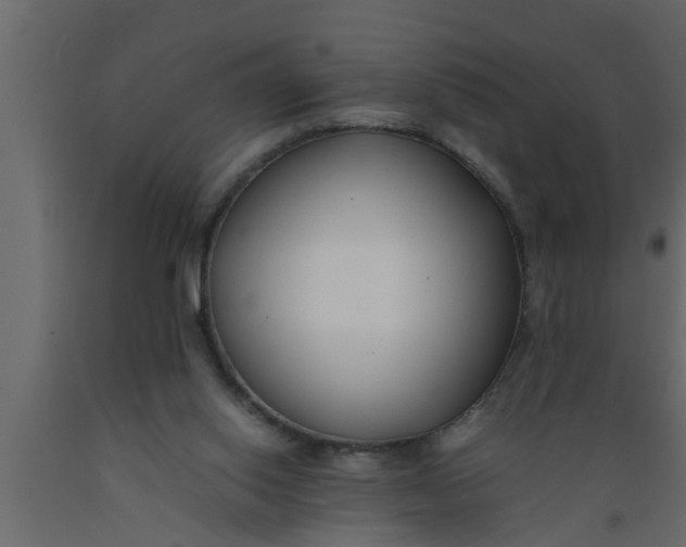 X0000089450062200707061250