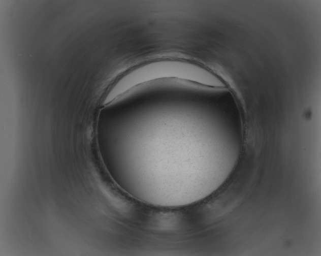 X0000089450063200707061250