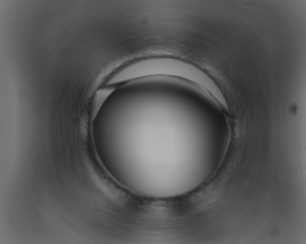 X0000089450064200707061250