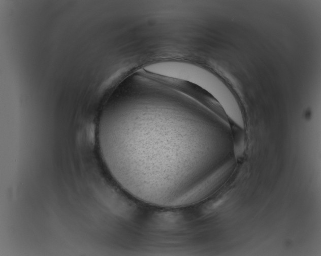 X0000089450067200707061250