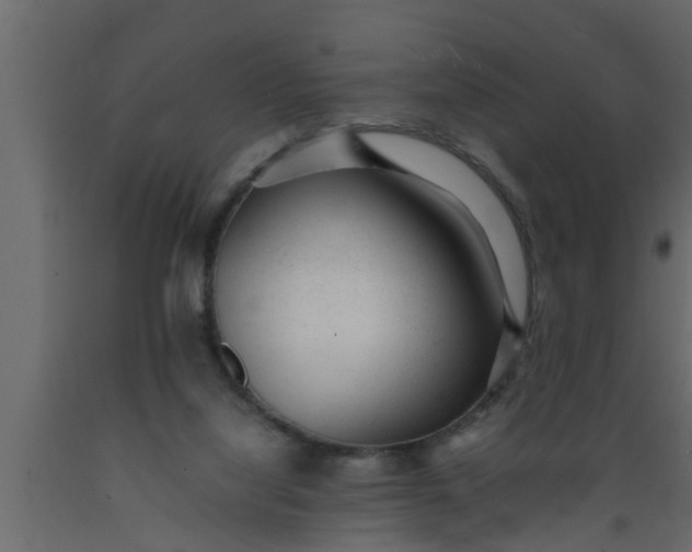 X0000089450068200707061250