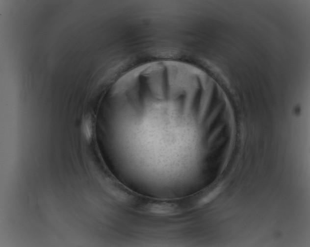 X0000089450069200707061250