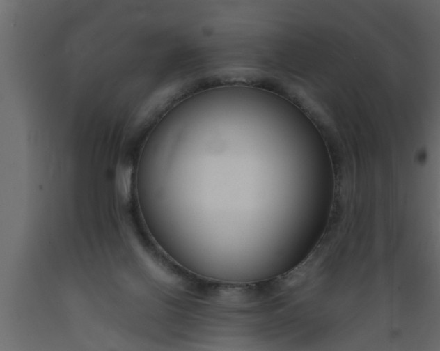 X0000089450070200707061250