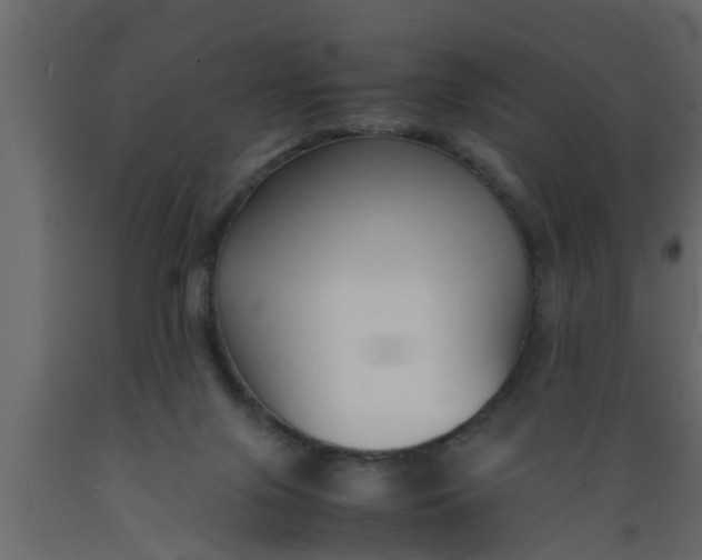 X0000089450071200707061251