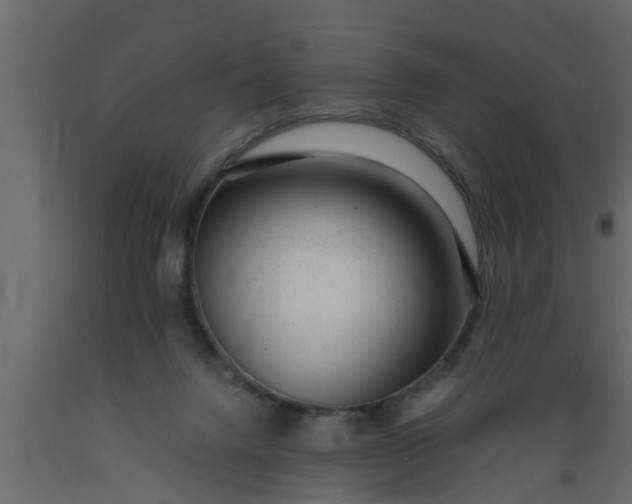 X0000089450072200707061251