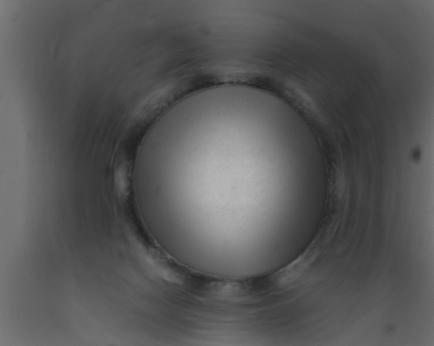 X0000089450074200707061251