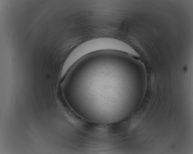 X0000089450076200707061251