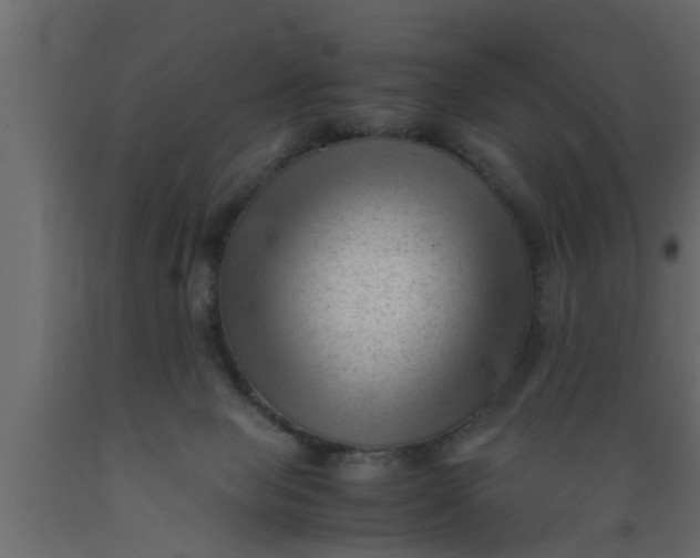 X0000089450077200707061251